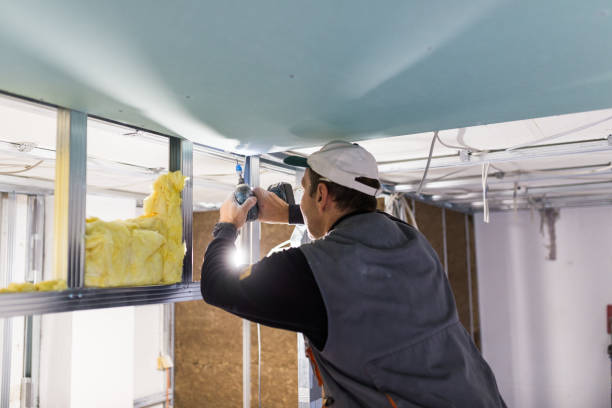 Best Professional Insulation Contractor  in Burton, MI