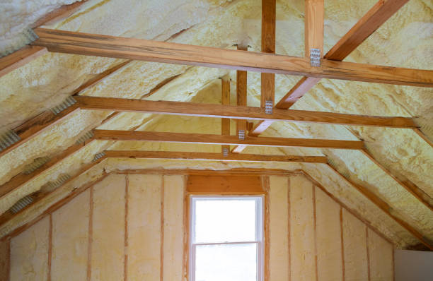 Insulation Repair Services in Burton, MI