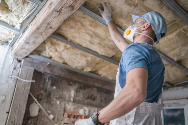 Best Home Insulation Services  in Burton, MI