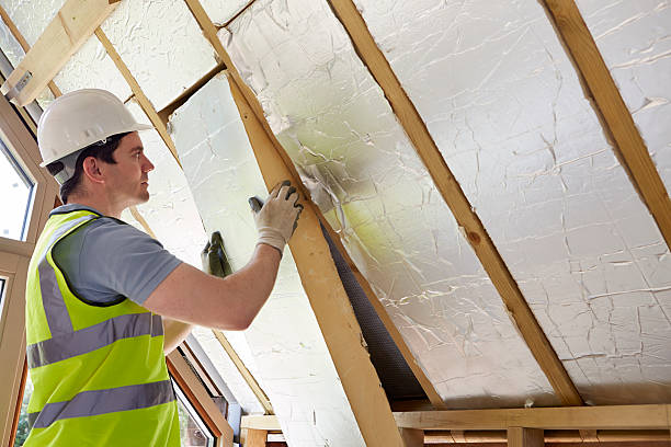 Best Best Insulation Companies  in Burton, MI