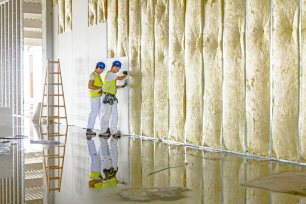 Best Fiberglass Insulation  in Burton, MI